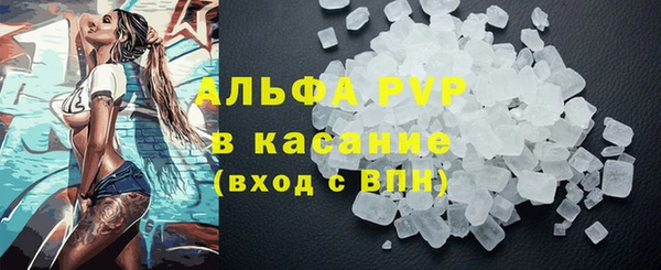 стаф Усинск