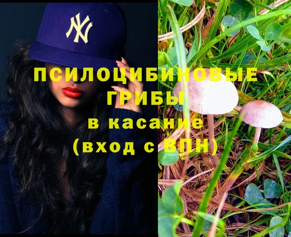 мет Магас
