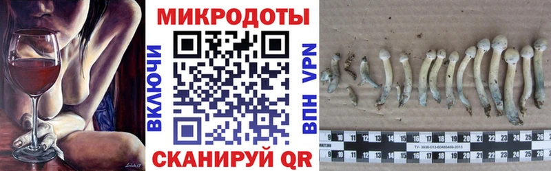 Псилоцибиновые грибы Psilocybine cubensis  Фурманов 