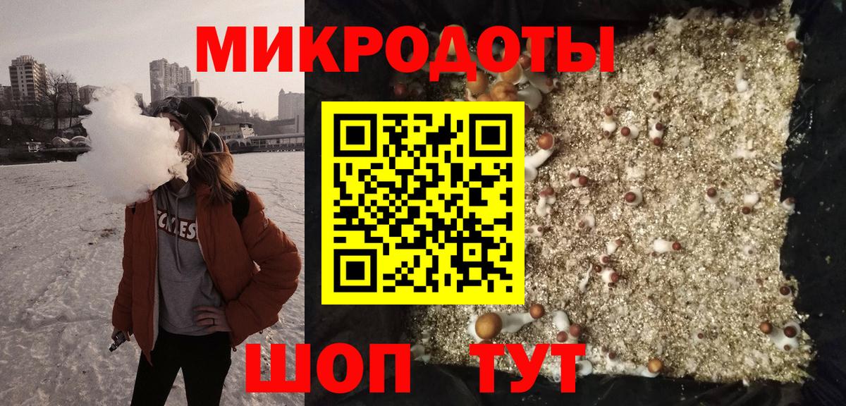 Псилоцибиновые грибы мицелий Фурманов