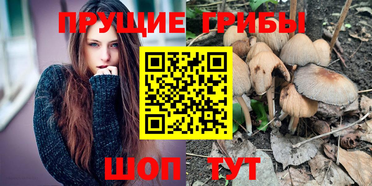 Фурманов  Псилоцибиновые грибы Psilocybe  где найти наркотики  Галлюциногенные грибы MAGIC MUSHROOMS  Вход с VPN 